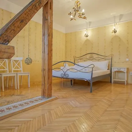 Cn2i Luxury Accommodation/pictor Pop * Брашов